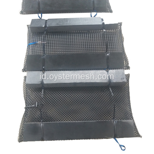 Kantong busa tumbuh Tiram Hitam yang ramah lingkungan